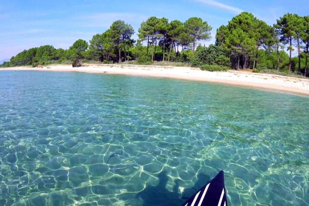 Marine De Bravone T2 Terrasse Front De Mer - Plage Pieds Dans L'Eau - Clim - Piscine - Wifi Linguizzetta Luaran gambar