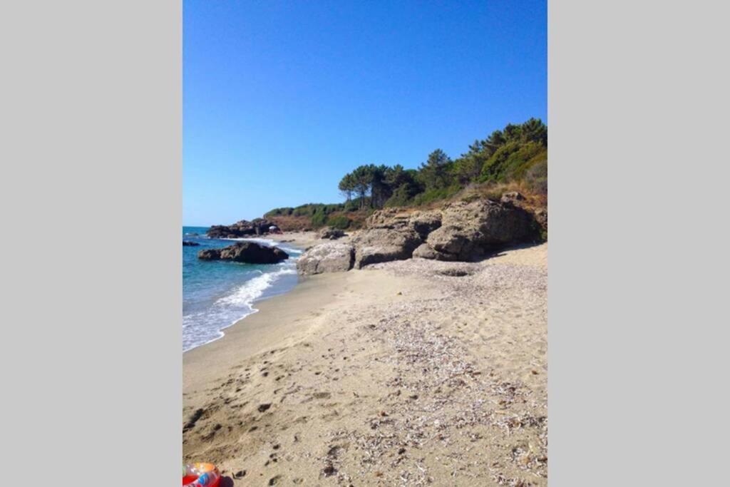 Marine De Bravone T2 Terrasse Front De Mer - Plage Pieds Dans L'Eau - Clim - Piscine - Wifi Linguizzetta Luaran gambar