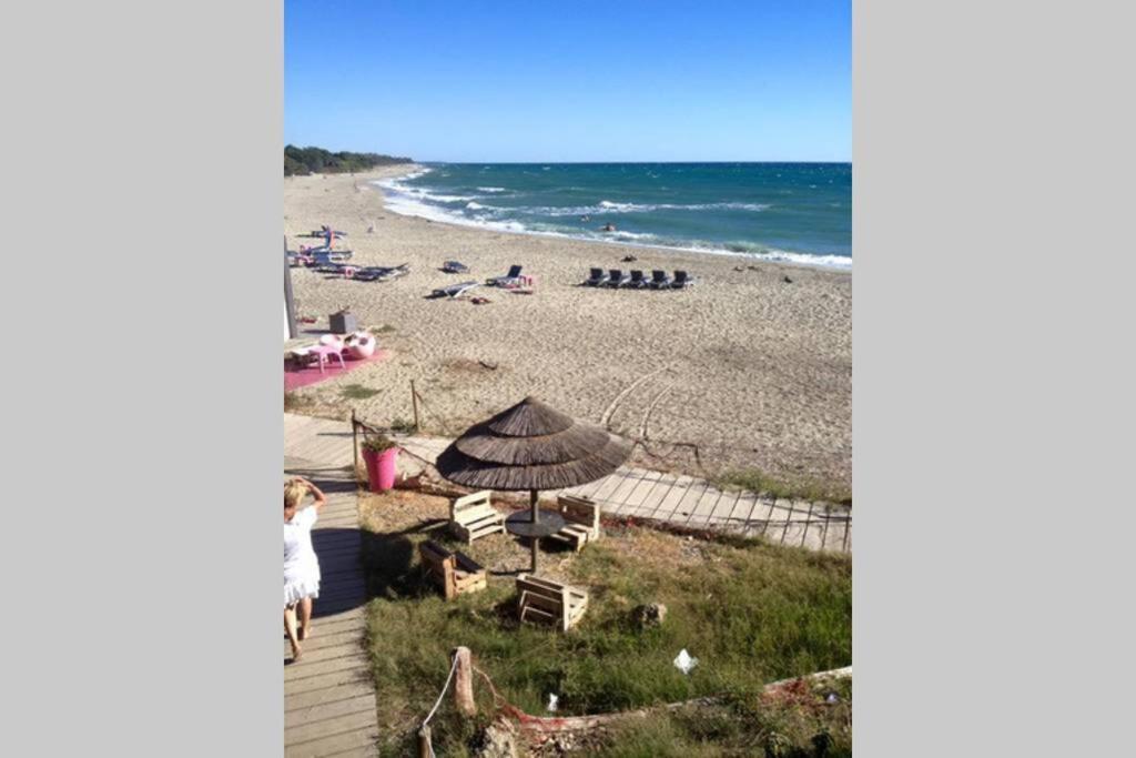 Marine De Bravone T2 Terrasse Front De Mer - Plage Pieds Dans L'Eau - Clim - Piscine - Wifi Linguizzetta Luaran gambar