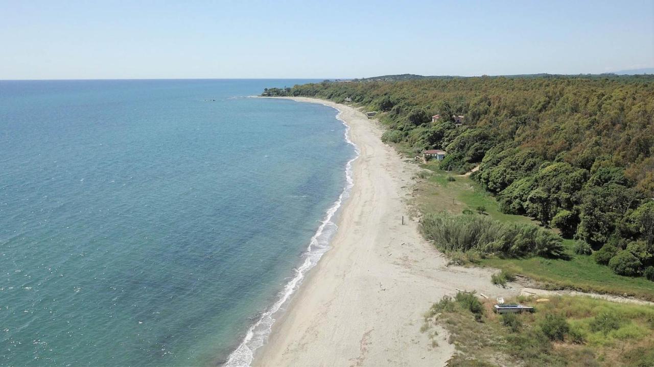 Marine De Bravone T2 Terrasse Front De Mer - Plage Pieds Dans L'Eau - Clim - Piscine - Wifi Linguizzetta Luaran gambar
