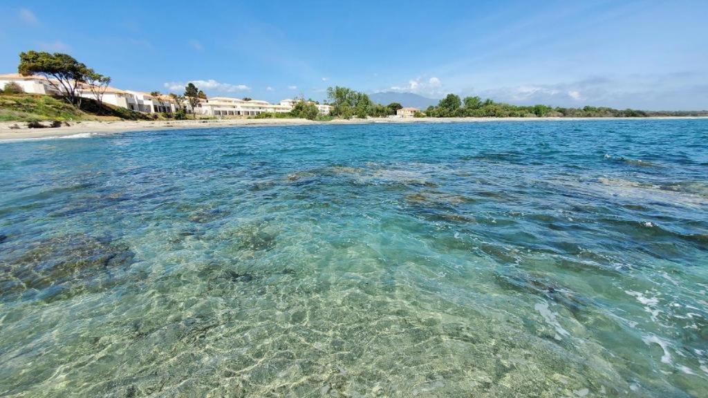 Marine De Bravone T2 Terrasse Front De Mer - Plage Pieds Dans L'Eau - Clim - Piscine - Wifi Linguizzetta Luaran gambar